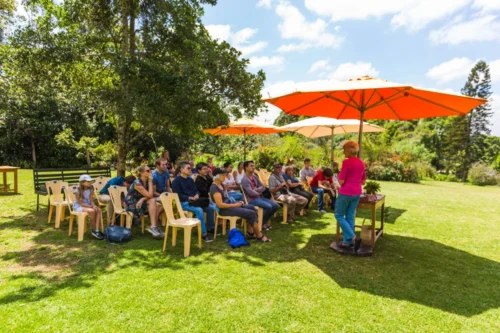 Kiambethu Tea Farm Nairobi City Excursion Tour with Adeli Kenya Safaris 7