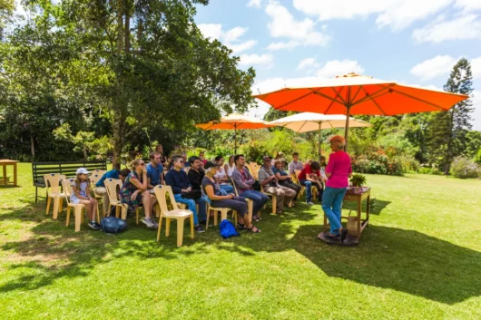 Kiambethu Tea Farm Nairobi City Excursion Tour with Adeli Kenya Safaris 7