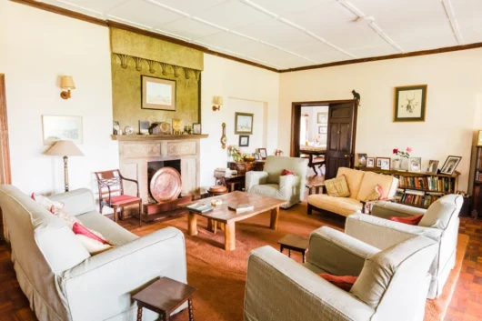 Kiambethu Tea Farm Nairobi City Excursion Tour with Adeli Kenya Safaris 8