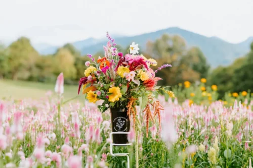 Lake Naivasha Flower Farms Agricultural Tour from Nairobi with Adeli Kenya Safaris 4 scaled