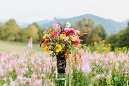 Lake Naivasha Flower Farms Agricultural Tour from Nairobi with Adeli Kenya Safaris 4 scaled