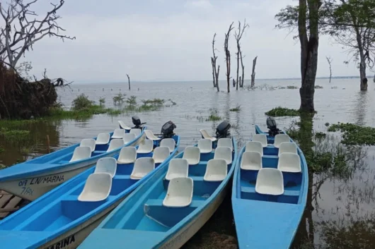 Lake Naivasha boat ride with Adeli Kenya Safaris