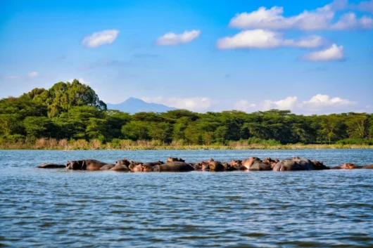 Lake Nakuru National Park Kenya safari tour packages with Adeli Kenya Safaris scaled scaled