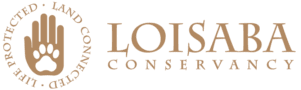 Loisaba Conservancy logo