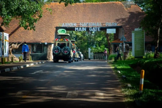 Nairobi National Park City tour trips with Adeli Kenya Safaris 6