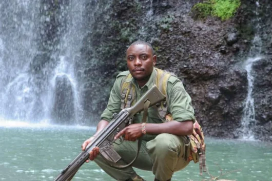Ngare Ndare Hiking, Birdwatching, Swimming & Canopy Walk Full-Day Tour from Nairobi 5 Ngare Ndare Forest Hiking and Canopy Walk Full Day Tour from Nairobi with Adeli Kenya Safaris 12