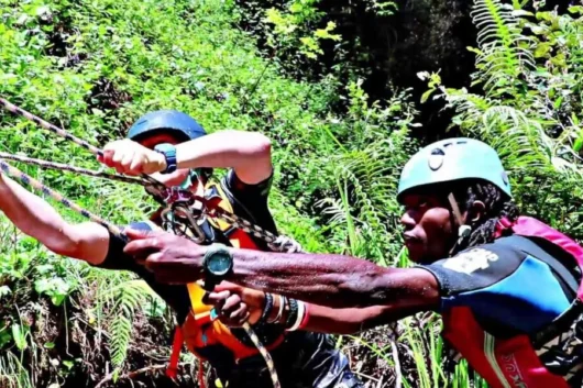 Ngare Ndare Hiking, Birdwatching, Swimming & Canopy Walk Full-Day Tour from Nairobi 3 Ngare Ndare Forest Hiking and Canopy Walk Full Day Tour from Nairobi with Adeli Kenya Safaris 7