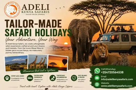 David Sheldrick Elephant Orphanage Nairobi 30 Tailor-made safari holidays tour packages with Adeli Kenya Safaris