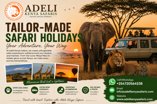 Tailor-made safari holidays tour packages with Adeli Kenya Safaris