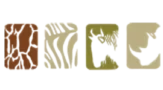 The Safari Collection