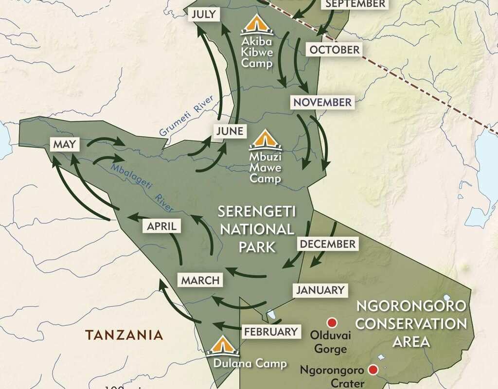 Wildebeest Migration route fromSerengeti National Park in Tanzania to Masai Mara National Reserve in Kenya book with Adeli Kenya Safaris
