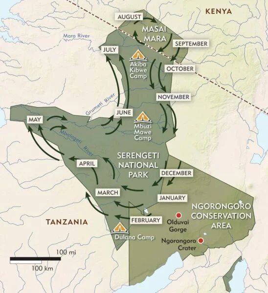 Wildebeest Migration route fromSerengeti National Park in Tanzania to Masai Mara National Reserve in Kenya book with Adeli Kenya Safaris