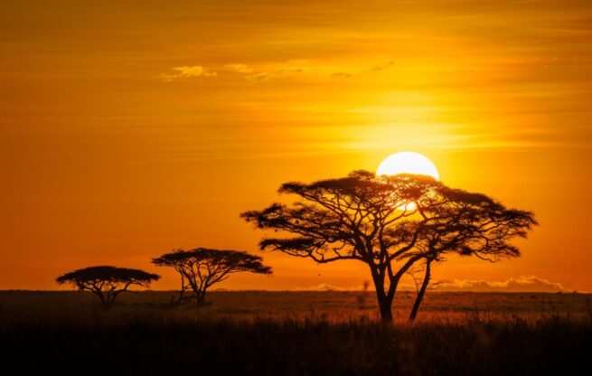 African sunset at Serengeti National Park Tanzania with Adeli Kenya Safaris