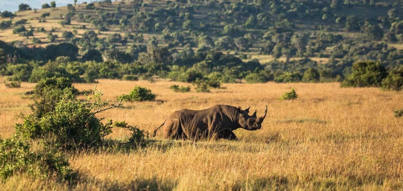 Borana Wildlife Conservancy