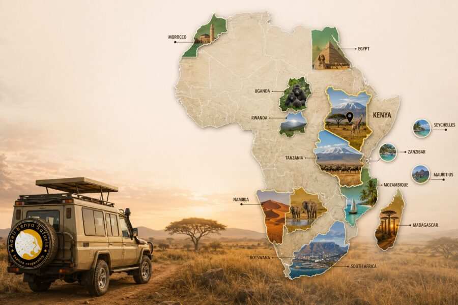 Luxury Africa Kenya safari tour packages with Adeli Kenya Safaris
