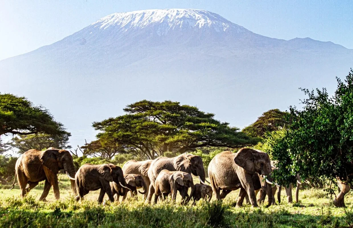 Tawi-Kilitome Conservancy, Amboseli