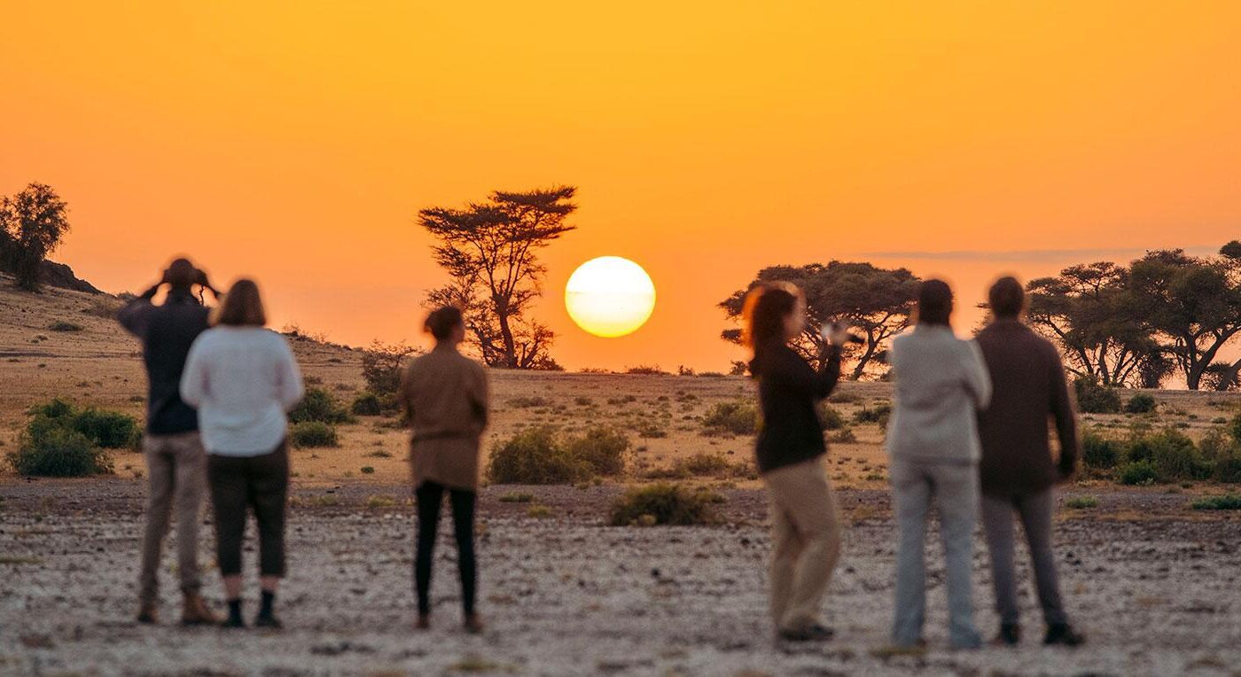 Small group safari tours