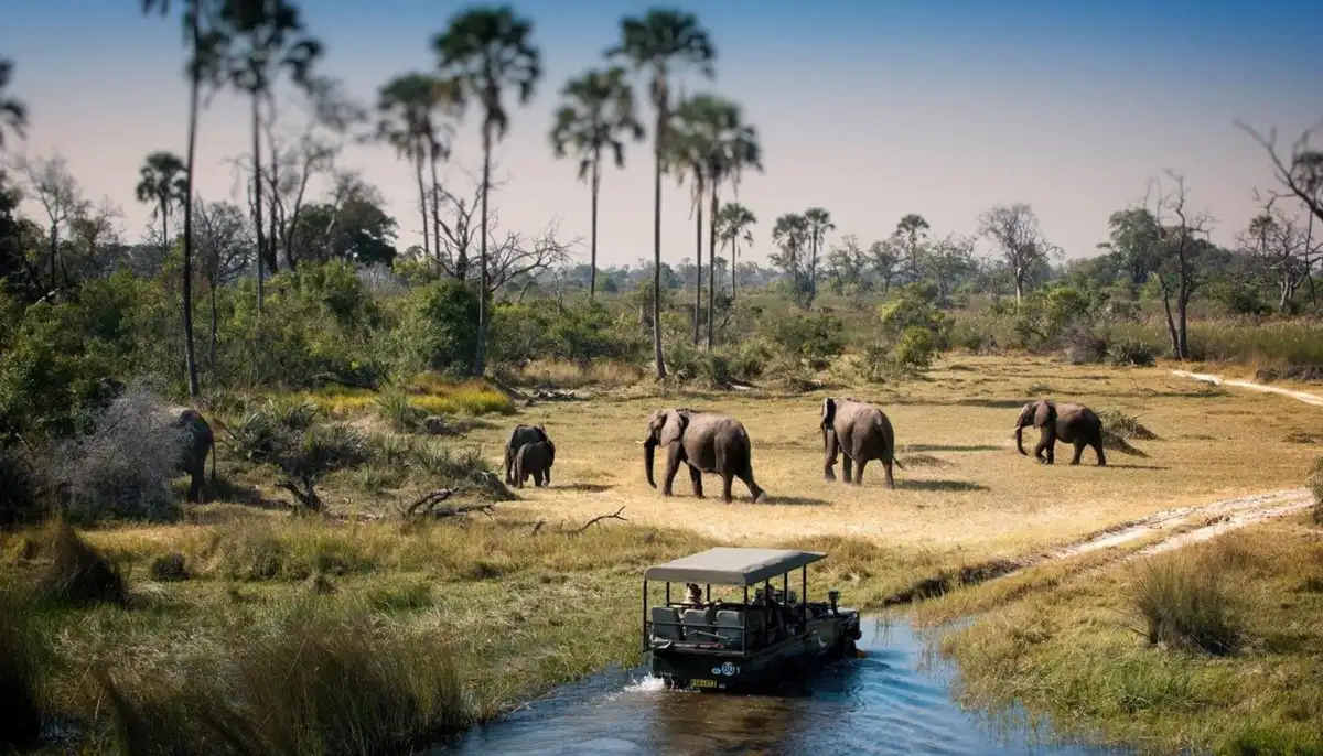 Botswana holiday tour packages and safaris from Kenya with Adeli Kenya Safaris