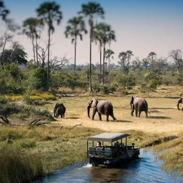 Botswana holiday tour packages and safaris from Kenya with Adeli Kenya Safaris