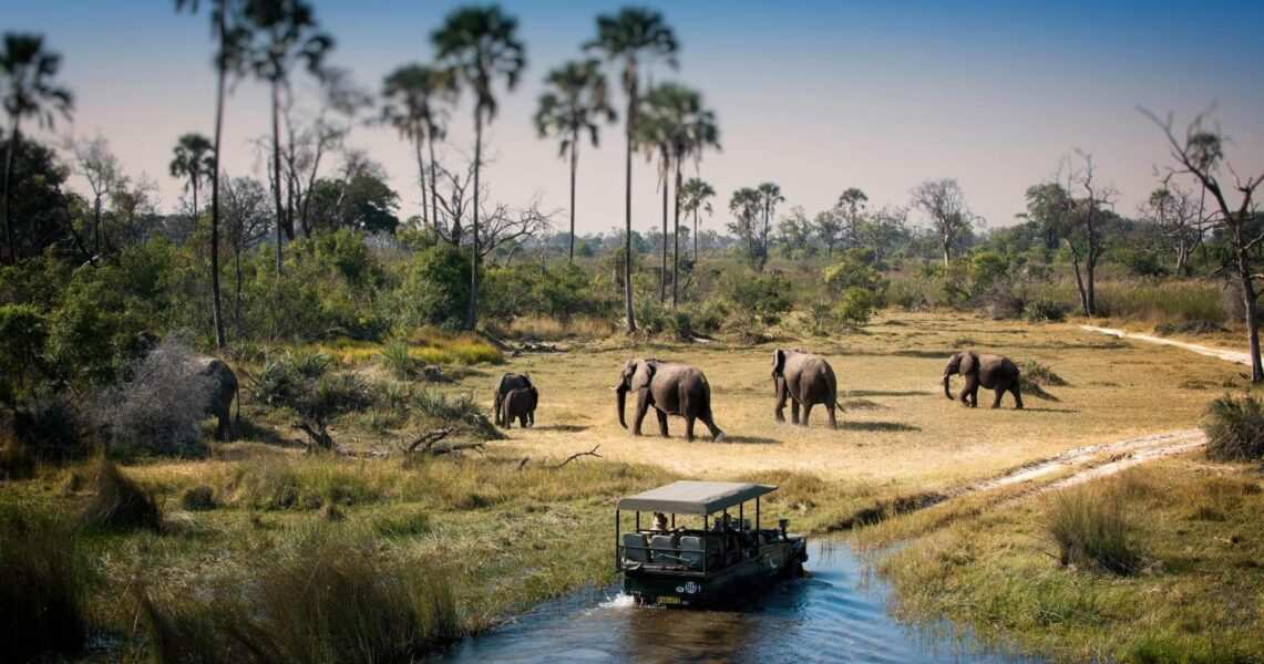 Best Africa safari tour destinations to explore with Adeli Kenya Safaris 10 Botswana holiday tour packages and safaris from Kenya with Adeli Kenya Safaris
