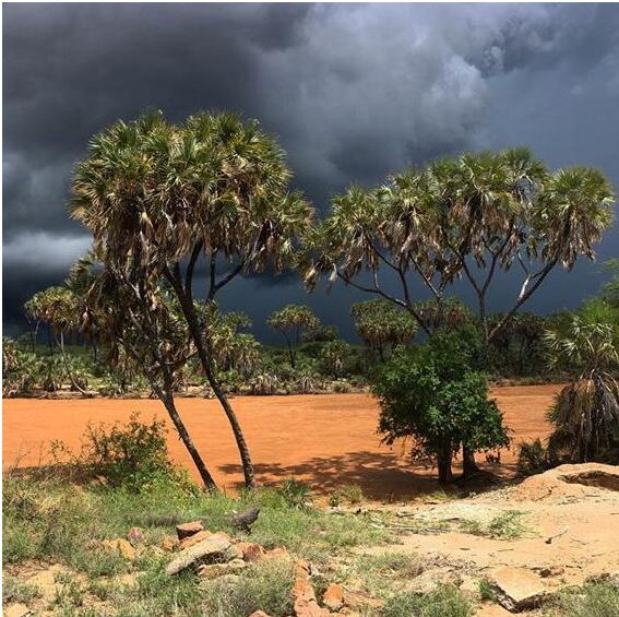 Biliqo-Bulesa Community Conservancy Isiolo Kenya