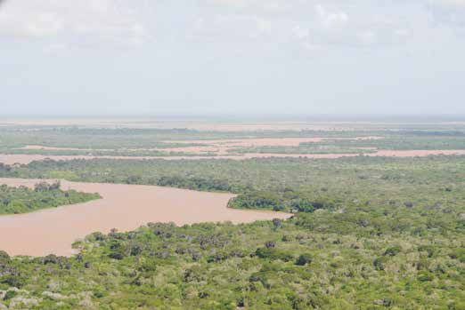 Hanshak Nyongoro Conservancy Lamu Kenya