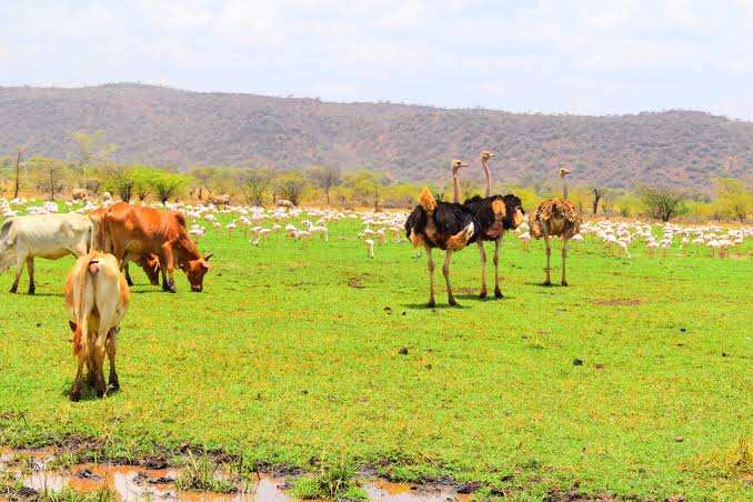 Explore Irong Community Conservancy Baringo Kenya with Adeli Kenya Safaris