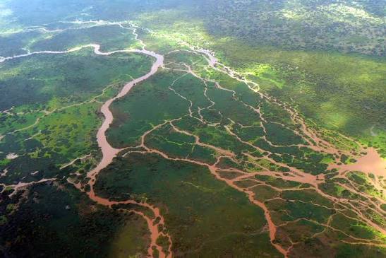 Lower Tana Delta Conservation Trust