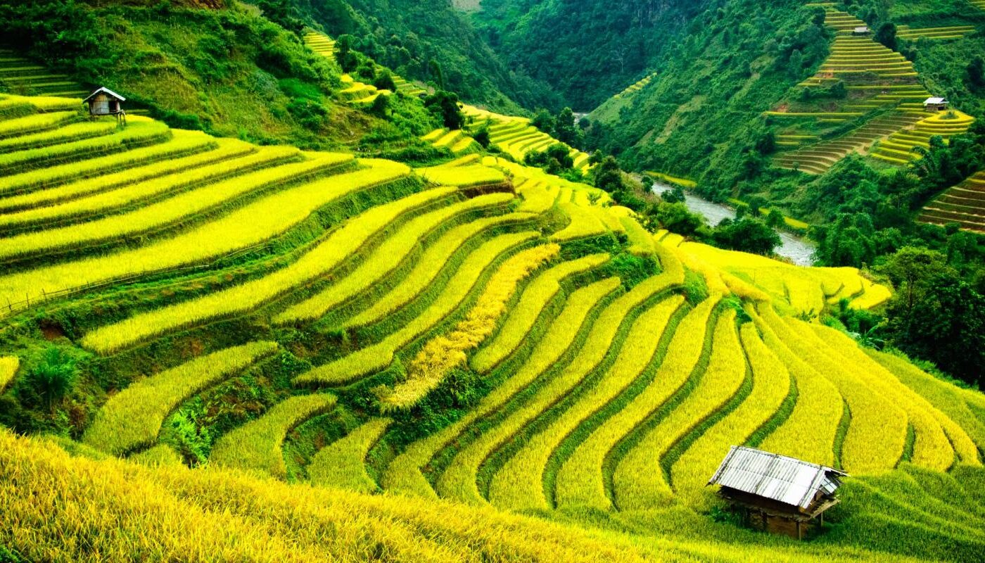 Laos holiday tour packages and vacations from Kenya with Adeli Kenya Safaris