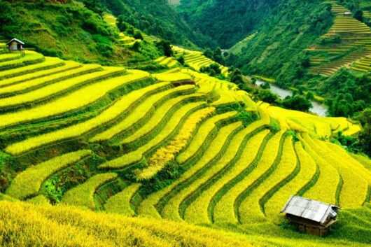 Safari Tours & holiday packages in Kenya, Africa & beyond 104 Laos South East Asia holiday tour packages from Nairobi Kenya