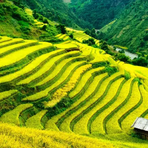 Laos holiday tour packages and vacations from Kenya with Adeli Kenya Safaris