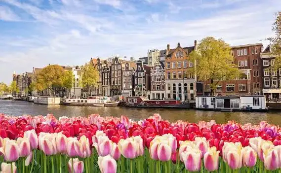 Netherlands holiday tour packages and vacations from Kenya with Adeli Kenya Safaris