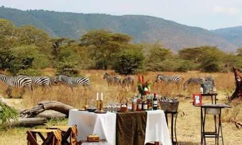 8 Days Tanzania Luxury Sky Air safari Exploring Tarangire Ngorongoro Serengeti