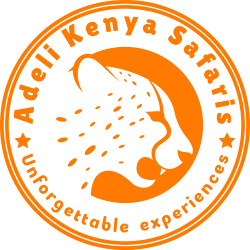 Adeli Kenya Safaris offers the best Africa Kenya safaris visiting the best wildlife parks, reserves, wildlife conservancies & beaches.