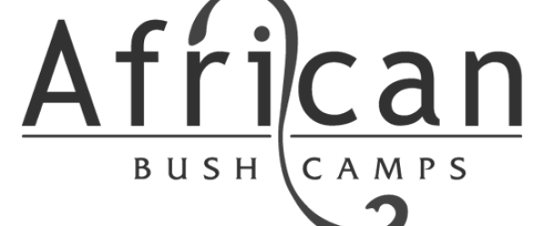 African Bushcamps