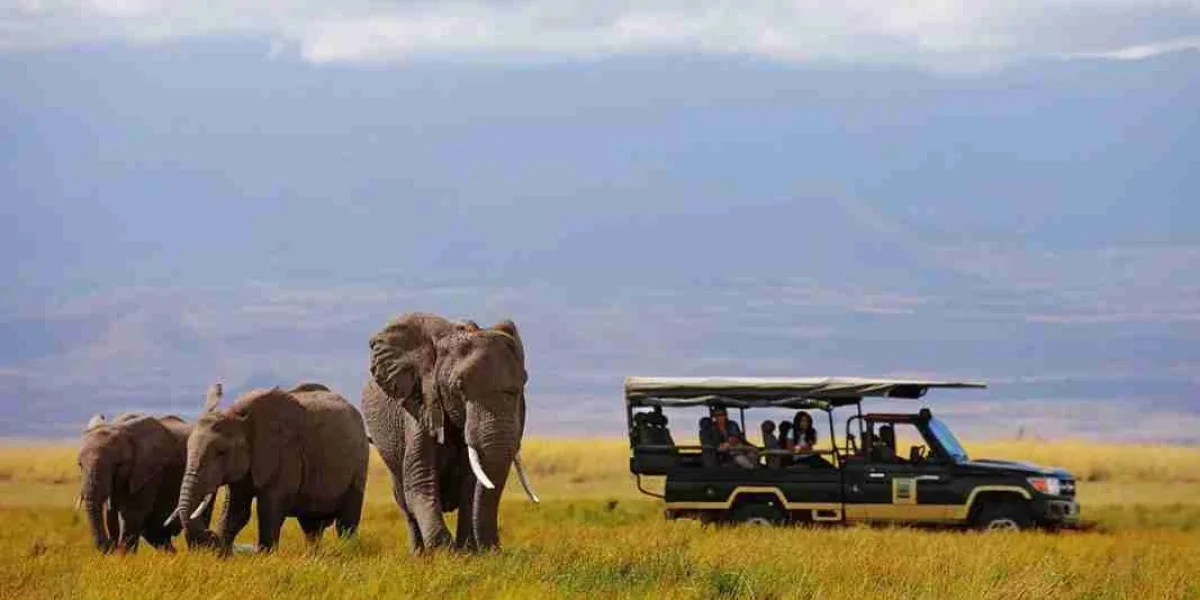 Amboseli Tortilis Camp Amboseli National Park Adeli Kenya Safaris best Africa sustainable safari tour company in Kenya.