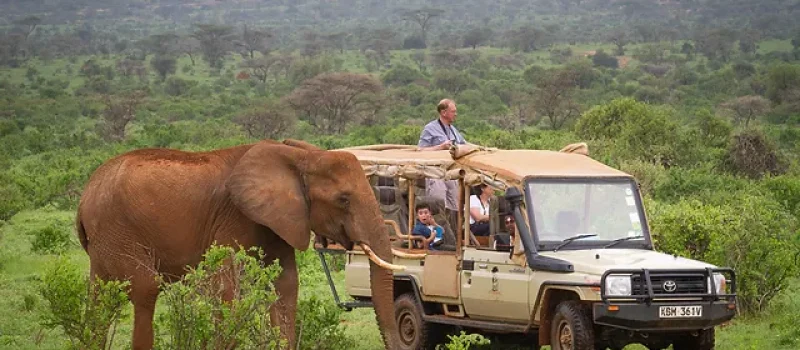 Atua Enkop Africa Adeli Kenya Safaris