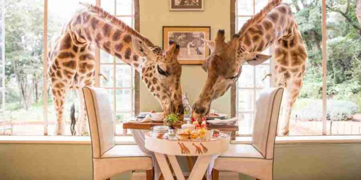 Best honeymoon safari hotels in Kenya Tanzania & Zanzibar Giraffe Manor NairobiAdeli Kenya Safaris best Africa sustainable safari tour company in Kenya
