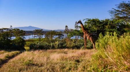 Crescent Island Lake Naivasha Kenya walking safari tour packages with Adeli Kenya Safaris 1 Crescent Island Lake Naivasha Kenya walking safari tour packages with Adeli Kenya Safaris 1