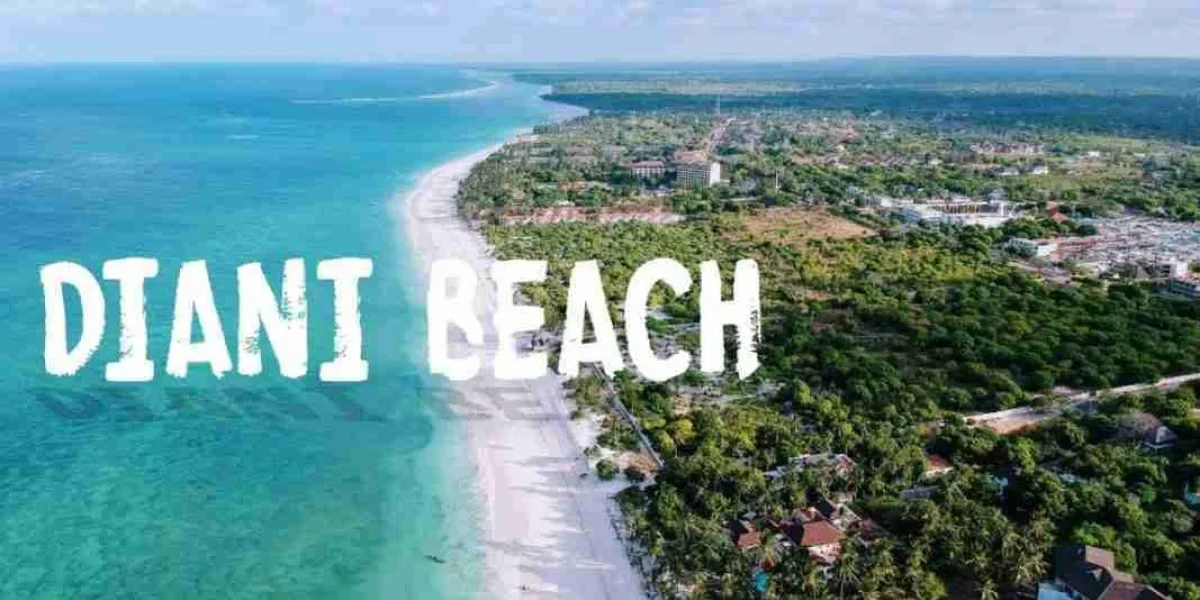 Diani Beach Kenya Adeli Kenya Safaris best Africa sustainable safari tour company in Kenya
