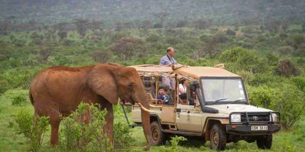Elephant Bedroom Camp Samburu Adeli Kenya Safaris best Africa sustainable safari tour company in Kenya
