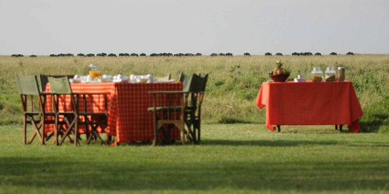 Elephant-Pepper-Camp---Breakfast-at-Camp-with-Wildebeest