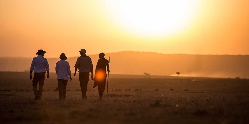 Elephant-Pepper-Camp---bush-walk