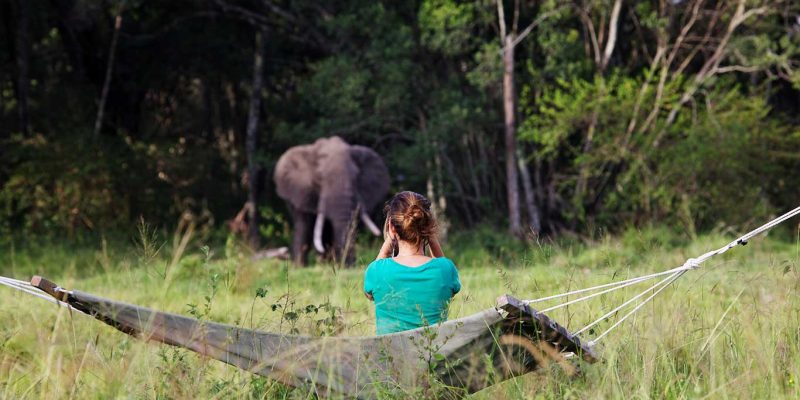 Elephant-Pepper-Camp---wildlife-viewing-from-the-camp