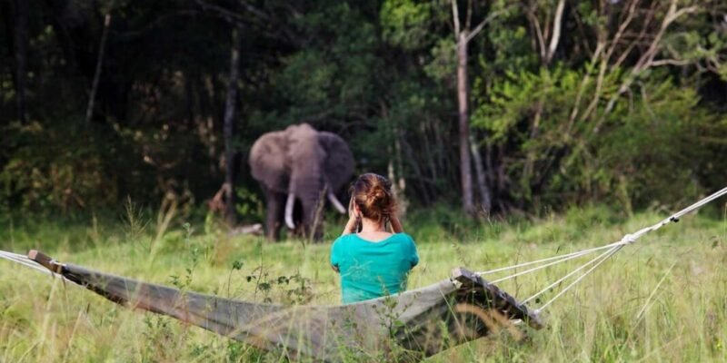 Elephant-Pepper-Camp---wildlife-viewing-from-the-camp