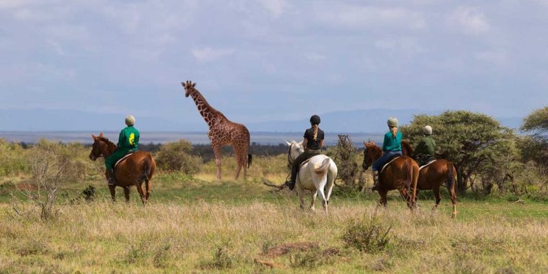 Elewana-Loisaba-Tented-Camp---activities---horse-riding-in-the-conservancy