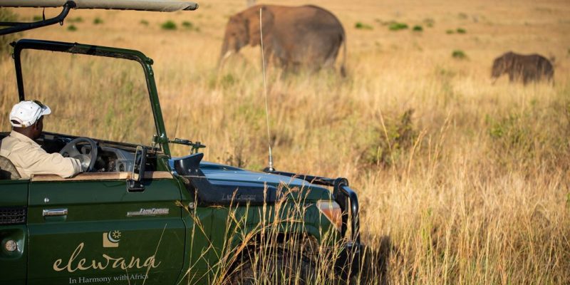 Elewana-Sand-River-Game-Drive-