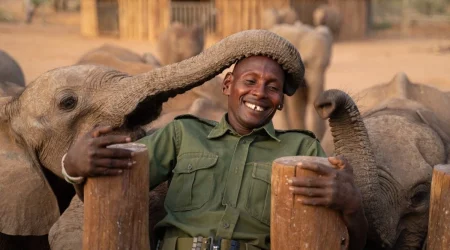 Explore Reteti Elephant Sanctuary with Adeli Kenya Safaris Explore Reteti Elephant Sanctuary with Adeli Kenya Safaris