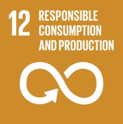 Goal 12 - Responsible Consumption and Production - United Nations Sustainable Development Goals - SDGs - Adeli Kenya Safaris Limited