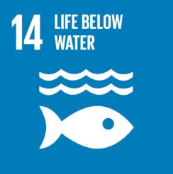 Goal 14 - Life Below Water- United Nations Sustainable Development Goals - SDGs - Adeli Kenya Safaris Limited